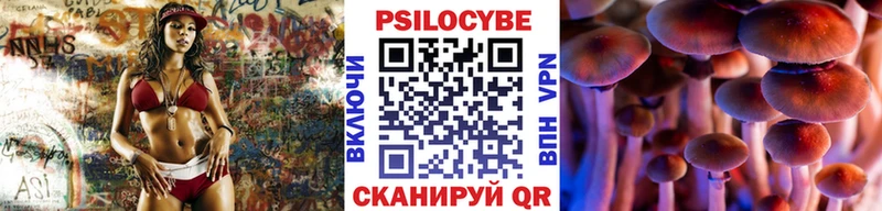 Галлюциногенные грибы прущие грибы  Купить закладки  Сланцы 
